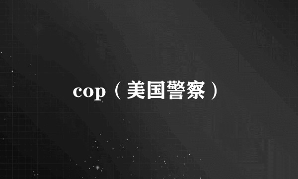 cop（美国警察）