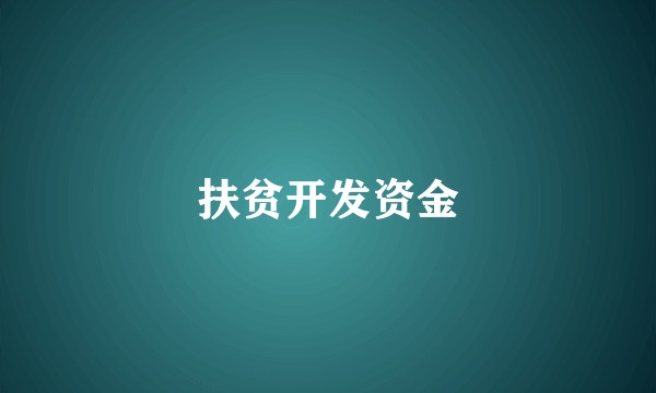 扶贫开发资金