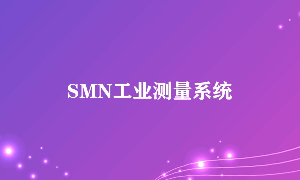 SMN工业测量系统