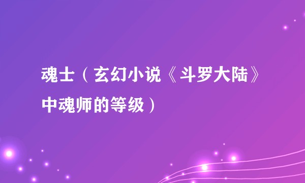 魂士(玄幻小说《斗罗大陆》中魂师的等级)