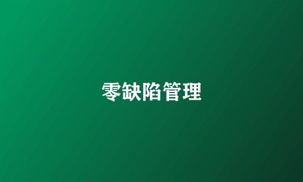 零缺陷管理