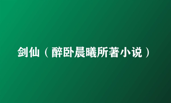 剑仙（醉卧晨曦所著小说）