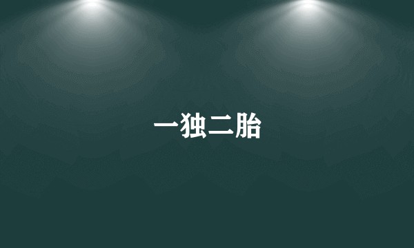 一独二胎