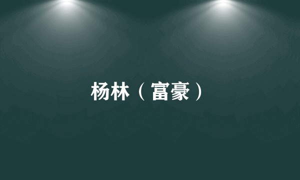 杨林（富豪）