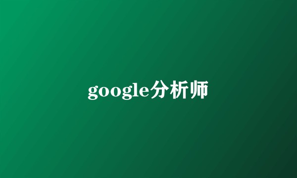 google分析师
