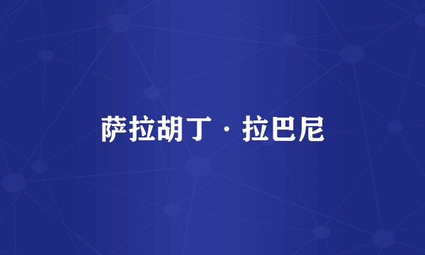萨拉胡丁·拉巴尼