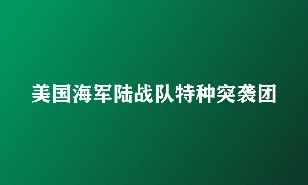 美国海军陆战队特种突袭团