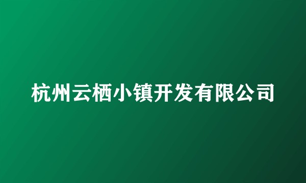 杭州云栖小镇开发有限公司