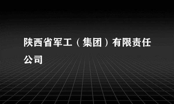 陕西省军工(集团)有限责任公司