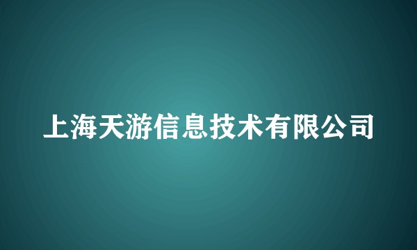 上海天游信息技术有限公司
