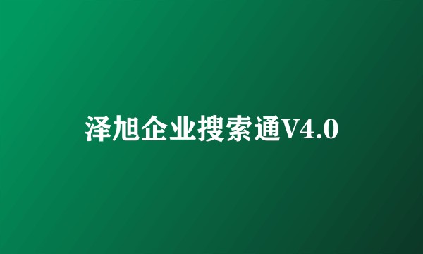 泽旭企业搜索通V4.0