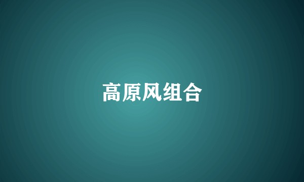 高原风组合