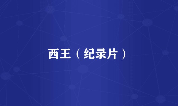 西王（纪录片）