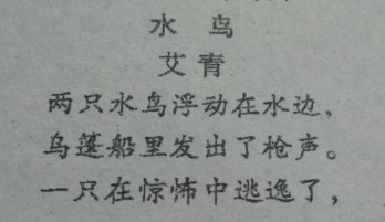 水鸟（艾青创作的现代诗）
