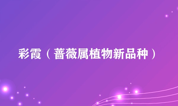 彩霞(蔷薇属植物新品种)