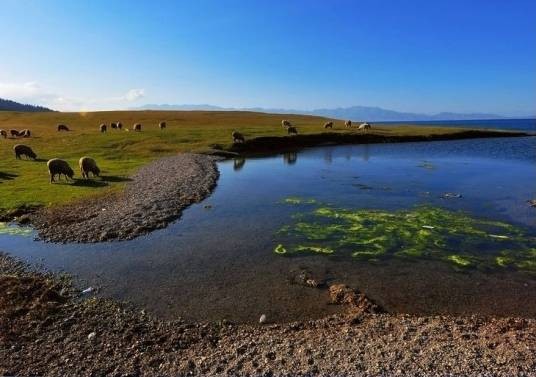 新疆博乐博尔塔拉河国家湿地公园