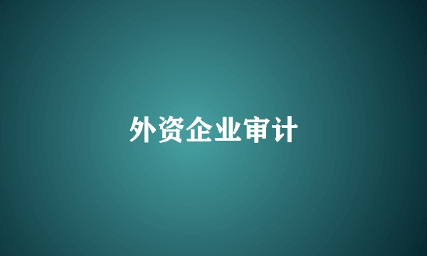 外资企业审计