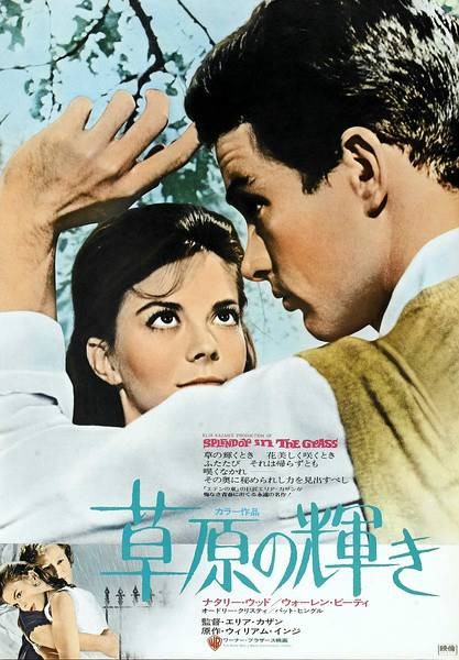 天涯何处无芳草(1961年美国伊莱亚凯赞执导电影)