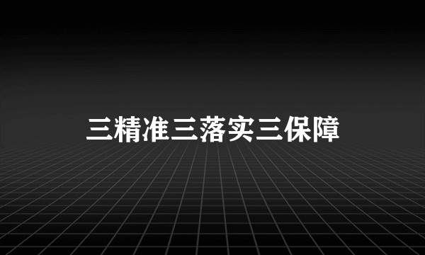 三精准三落实三保障