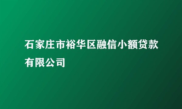 石家庄市裕华区融信小额贷款有限公司