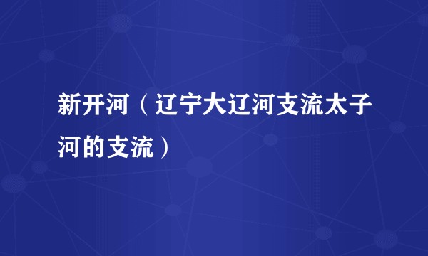 新开河（辽宁大辽河支流太子河的支流）