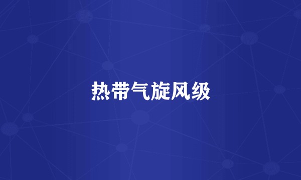 热带气旋风级