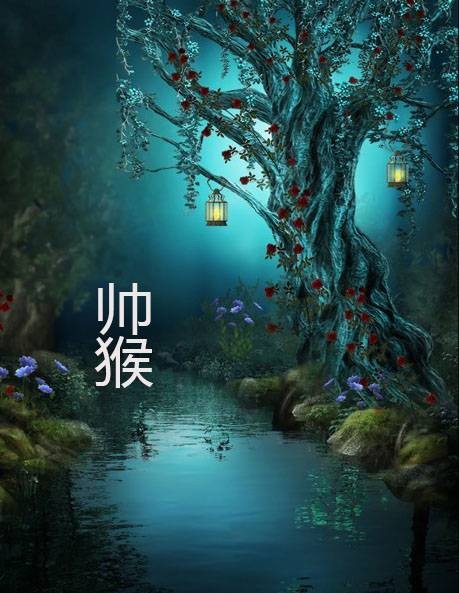 帅猴