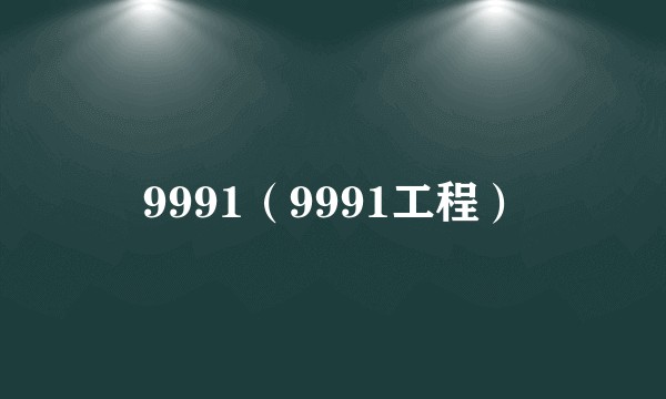 9991（9991工程）