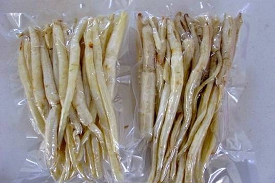阆中川明参
