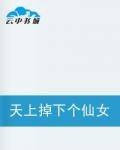 天上掉下个仙女