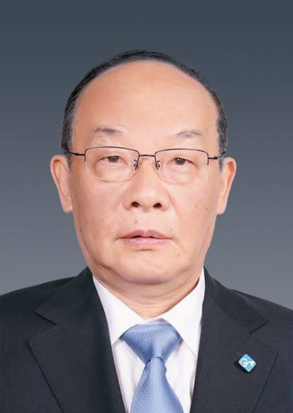 徐平(中国通用技术(集团)控股有限责任公司外部董事)