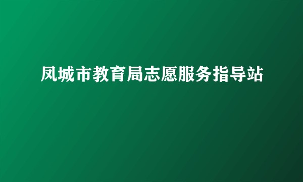 凤城市教育局志愿服务指导站