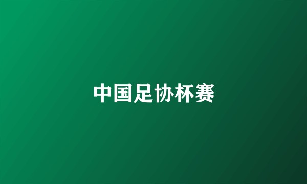 中国足协杯赛