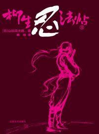 柳生忍法帖（2006年北岳文艺出版社出版的图书）