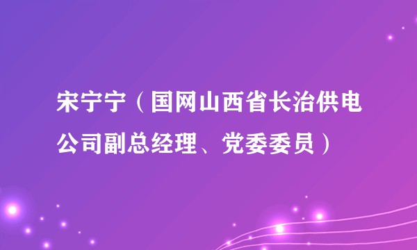 宋宁宁（国网山西省长治供电公司副总经理、党委委员）