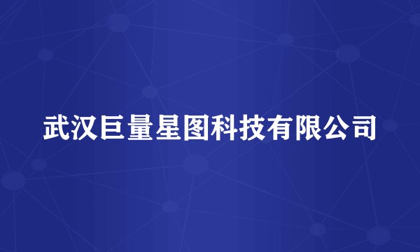 武汉巨量星图科技有限公司