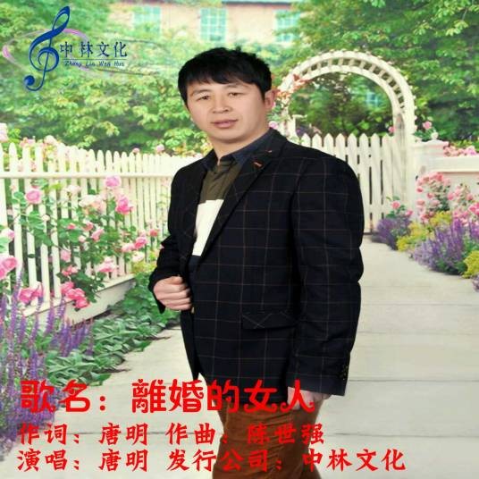 离婚的女人(唐明演唱的歌曲)