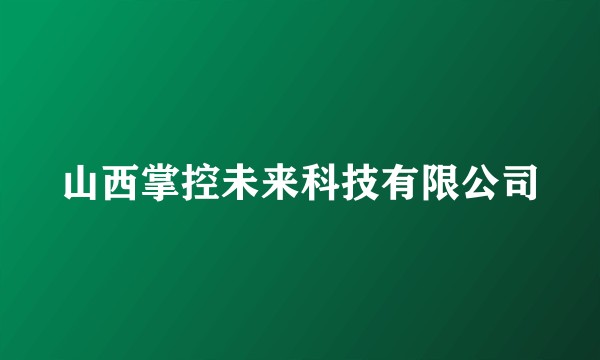 山西掌控未来科技有限公司