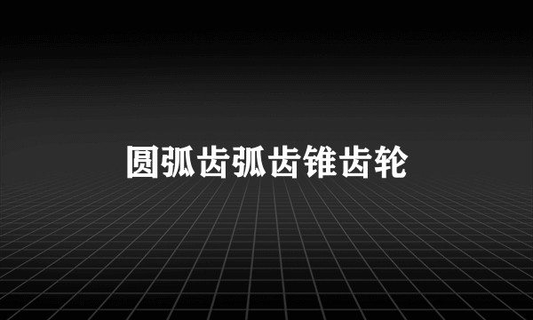圆弧齿弧齿锥齿轮