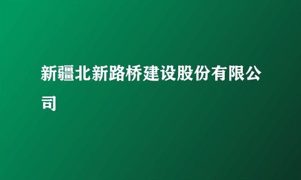 新疆北新路桥建设股份有限公司