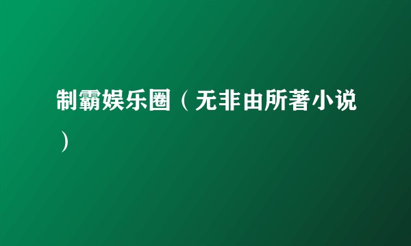 制霸娱乐圈（无非由所著小说）