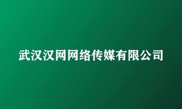武汉汉网网络传媒有限公司
