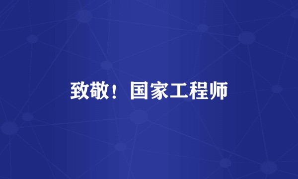 致敬！国家工程师