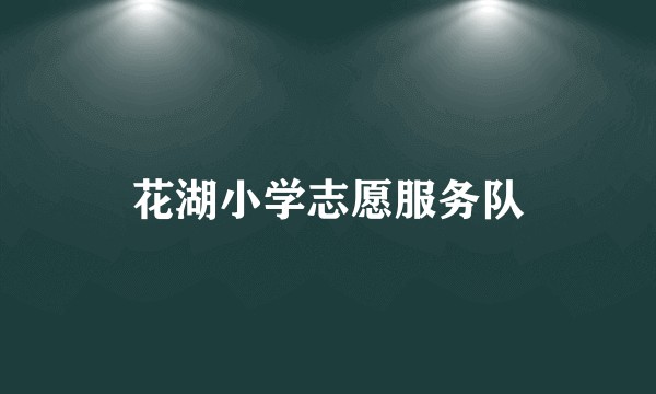 花湖小学志愿服务队
