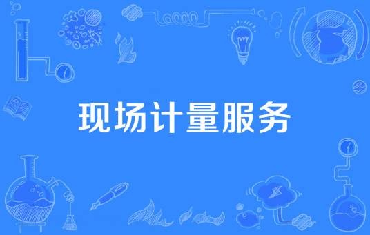现场计量服务