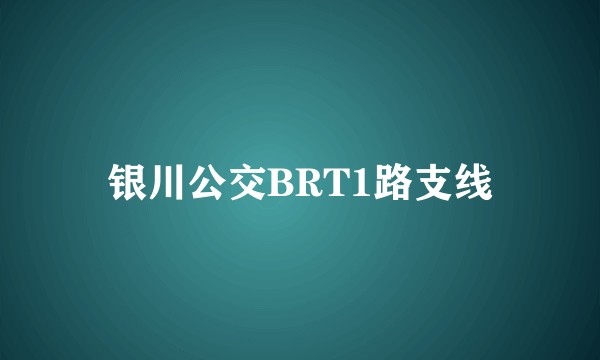 银川公交BRT1路支线