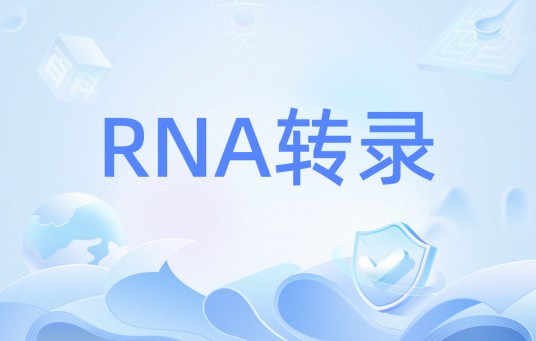 RNA转录