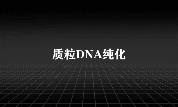 质粒DNA纯化