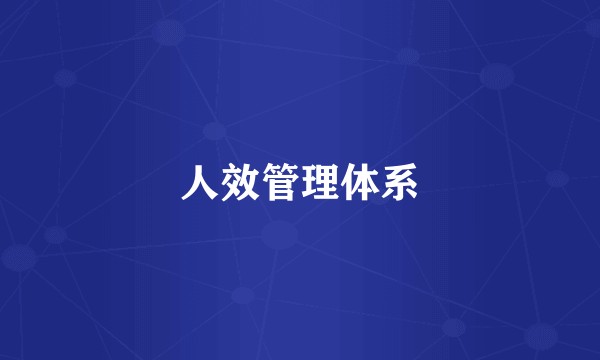 人效管理体系