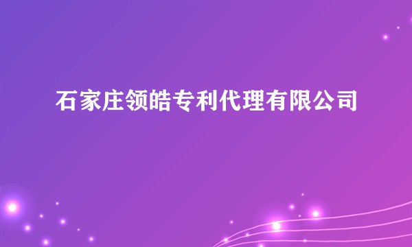 石家庄领皓专利代理有限公司